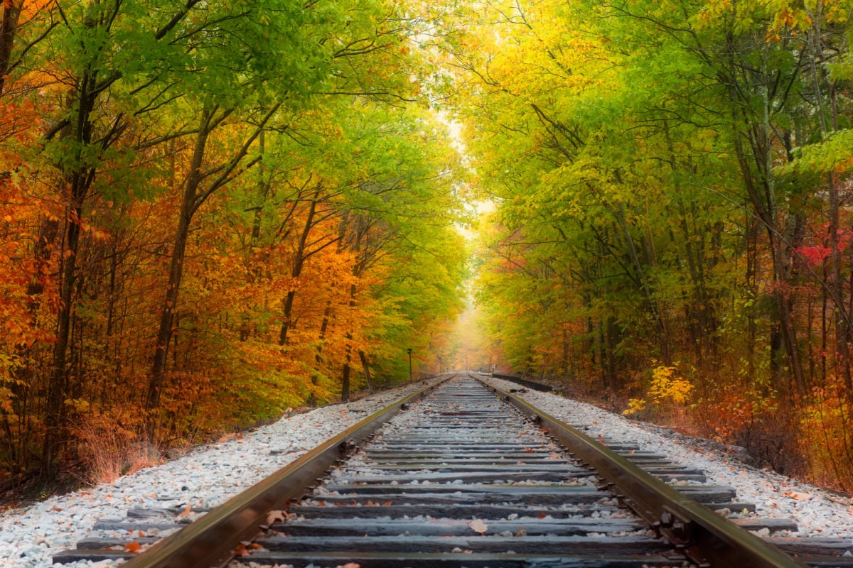 This International Train Ride Zooms Through East Coast’s Fall Splendor To Canada’s Most Cultural City