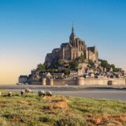 Mont Saint Michel Seen From A Sheep Farm During High Tide, France